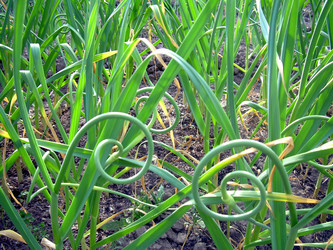 Similar image 21897877