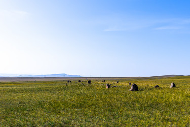 Similar image 21897760