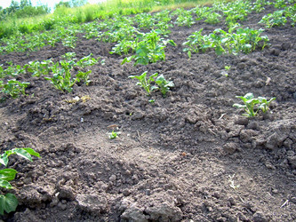 Similar image 21897878