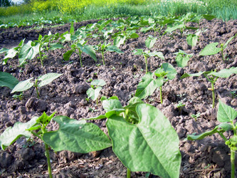 Similar image 21897879