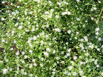 Similar image 21897880