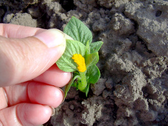 Similar image 21897881