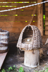 Similar image 21898052