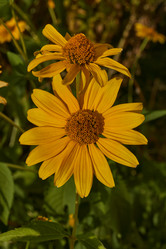 Similar image 21898101