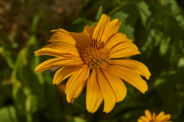 Similar image 21898409