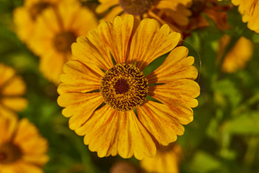 Similar image 21898411