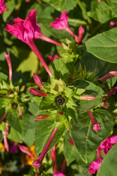 Similar image 21898412