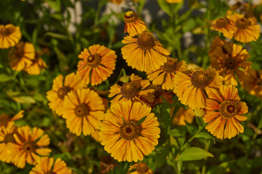 Similar image 21898413