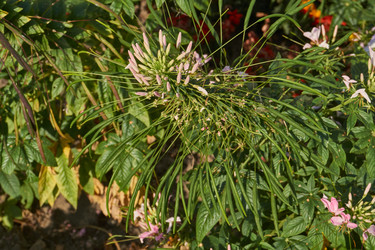 Similar image 21898415