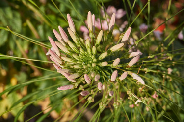 Similar image 21898416