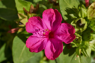 Similar image 21898418