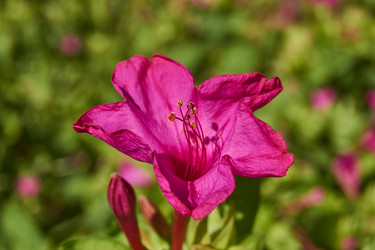 Similar image 21898420