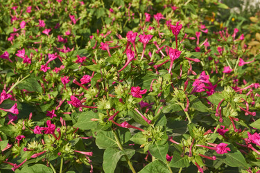 Similar image 21898421