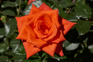 Similar image 21898425