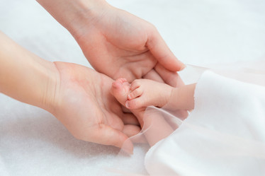 Similar image 21899644