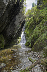 Similar image 21897775