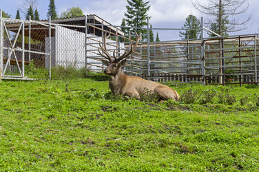 Similar image 21897777