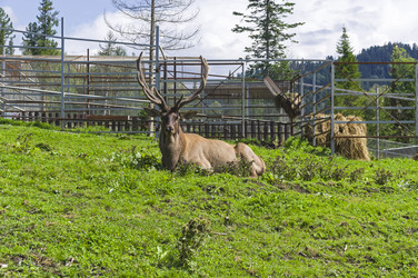 Similar image 21897778