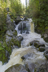 Similar image 21897779