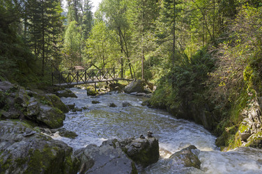 Similar image 21897781