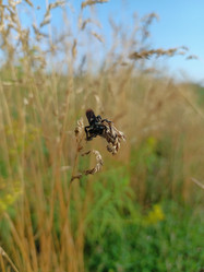 Similar image 21898883