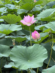 Similar image 21898887