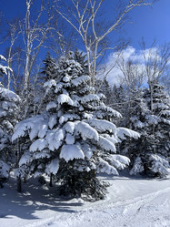 Similar image 21898888