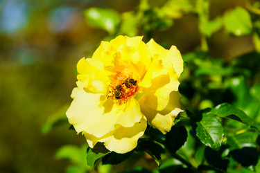 Similar image 21906626