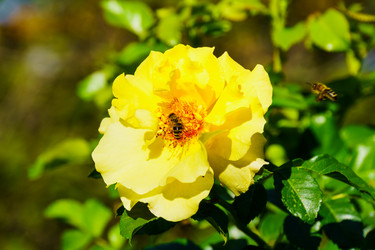 Similar image 21906627