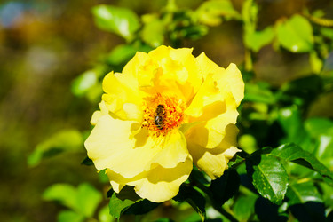 Similar image 21906824