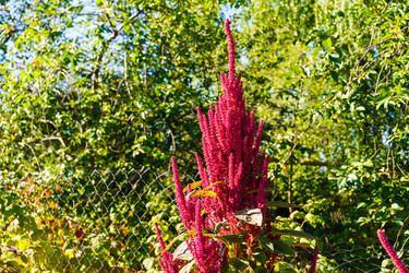 Similar image 21906825