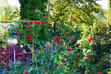 Similar image 21906826