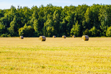 Similar image 21906828