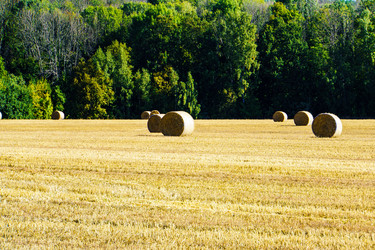 Similar image 21906829