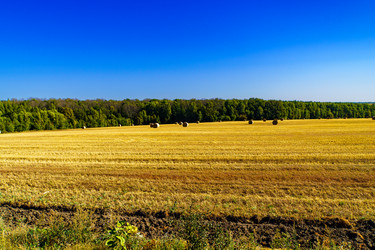 Similar image 21906830