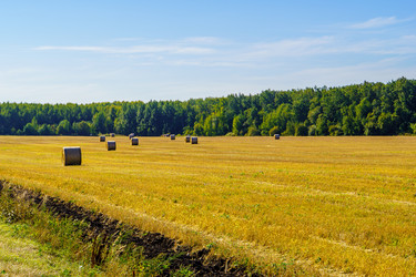 Similar image 21906831