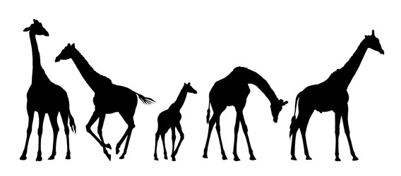 Similar image 21899888