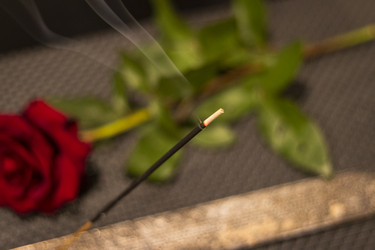 Similar image 21899893