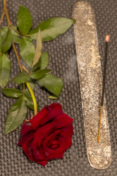 Similar image 21899894