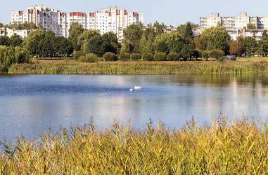 Similar image 21899895