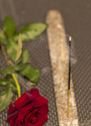 Similar image 21899898