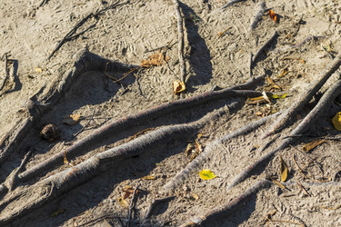 Similar image 21899920