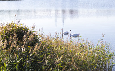 Similar image 21899929