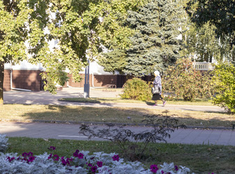 Similar image 21900082