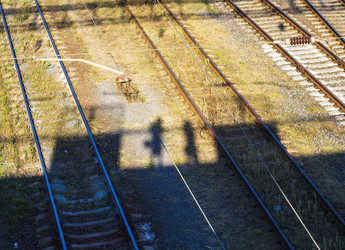 Similar image 21900083