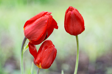 Similar image 21907205