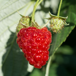 Similar image 21907207