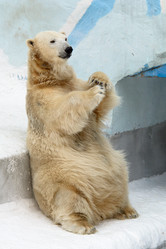 Similar image 21904707