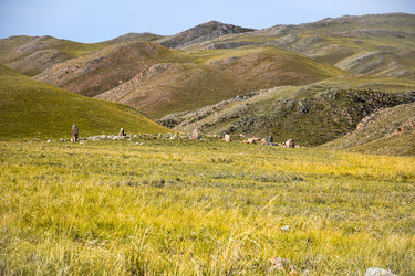 Similar image 21899781