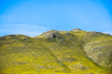 Similar image 21899788